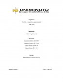 Análisis organizacional. LAS 5 FUERZAS DE PORTER