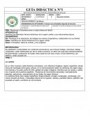 GUIA ARTISITCA 8 grado