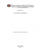 PRACTICA N° 1 LEVANTAMIENTO TOPOGRAFICO