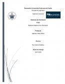 Aspectos legales de la información-Ruiz Estefany