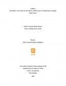 Actividad Costos mano de obra directa e indirecta para la elaboración de arequipe “Dulce María”