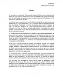 Informe Profesional de la Informática y Preparador Docente