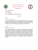 Finanzas. Comentarios de los videos