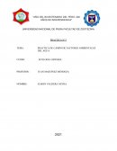 PRACTICA DE CAMPO DE FACTORES AMBIENTALES DEL AGUA