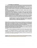 La Era Digital y sus complicaciones