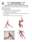 CORRELACIÓN DEL ÁREA DE EDUCACIÓN FÍSICA CON ANATOMÍA