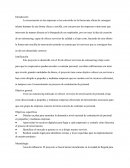 Act 2 Formulacion y evaluacion de proyectos