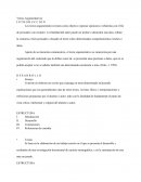 Textos Argumentativos