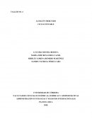 Almacen Mercurio - Ciclo contable