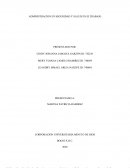 Administracion en seguridad y salud en el trabajo