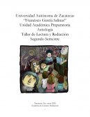 EL CUENTO Y LA NOVELA