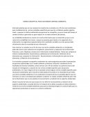 MARCO CONCEPTUAL PARA UNA NORMA CONTABLE AMBIENTAL