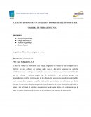 Dirección estratégica de ventas. PAE Caso Indugalletas. S.A