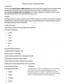 Proyecto de inversión: Producción de cebollas