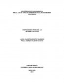 DISTRIBUIDORA PRIMASOL S.A INFORME EJECUTIVO