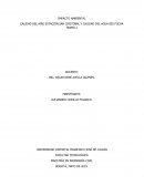 IMPACTO AMBIENTAL. CALIDAD DEL AIRE ESTACIÓN SAN CRISTOBAL Y CALIDAD DEL AGUA RÍO FUCHA TRAMO I