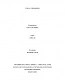 TAREA 1 PRESABERES