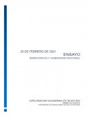 La dictadura perfecta ensayo