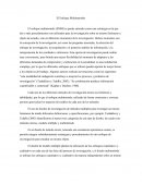 Enfoque multimetodos