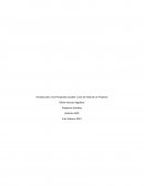 Introducción a los Proyectos Sociales. Ciclo de Vida de un Proyecto