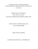 INFORME PRÁCTICA PROFESIONAL CAHSA