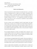 Primeras vías de latinoamérica