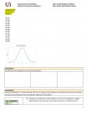 Ensayo de Estadistica