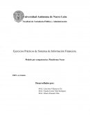 Ejercicios Prácticos de Sistemas de Información Financiera