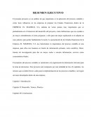 RESUMEN EJECUTIVO EMPRESA EL MADERAL S.A