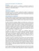 Fertilizantes de plantas con poliboratos BORO