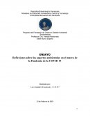 Reflexiones sobre los aspectos ambientales en el marco de la Pandemia de la COVID 19