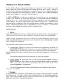 Dinámica de Olimpiadas para Animación Sociocultural