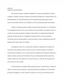 Capitalismo, teorías de Marx y Engels