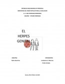 HERPES GENITAL