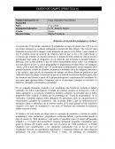 Diario campo. Relación con la práctica pedagógica y el hacer