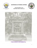 PROBLEMATICAS EN INVERNADEROS