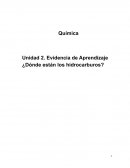 Química. Unidad 2. Evidencia de Aprendizaje ¿Dónde están los hidrocarburos?