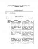 Gestión Empresarial y Estrategias Corporativa: Control de Gestión