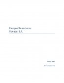 Riesgos financieros Novasol S.A.