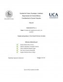 MECANICA “Circuitos de Resistencia en Serie y en Paralelo”