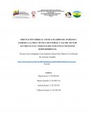 ORIENTACIÓN SOBRE EL USO DE LOS LIBROS DE INGRESO Y EGRESO A LA MESA TÉCNICA DE ENERGÍA Y GAS