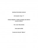 ENFERMO MENTAL EN MÉXICO