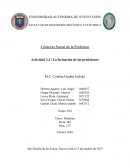 LA FORMACIÓN DE LAS PROFESIONES