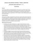 El bullying. Alternativas de solución