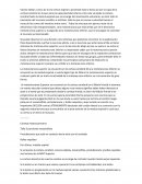 Vía cortico espinal o piramidal