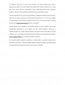 Autoconciencia emocional y Bienestar y felicidad, modelo Seligman