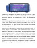 Alimentos transgenicos