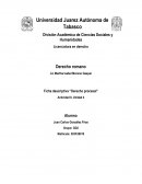Ficha descriptiva “Derecho procesal”