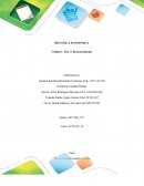 BOTANICA ECONOMICA