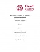 Análisis Del Consumidor Comportamiento del consumidor